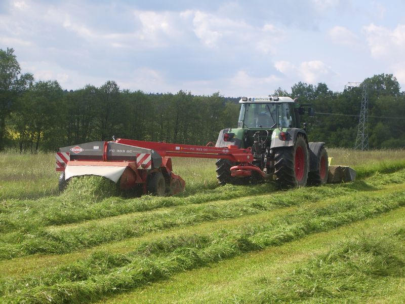 Fendt Vario 818 TMS 04.jpg